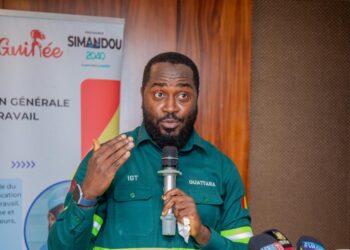 IGT : inspections des entreprises guinéennes