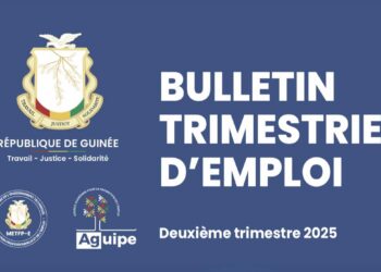 AGUIPEE : le nombre d’entreprises créées à l’APIP-Guinée a fléchi au T2 2025