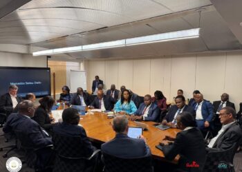 Guinée : le gouvernement présente des projets à la BM et au FMI