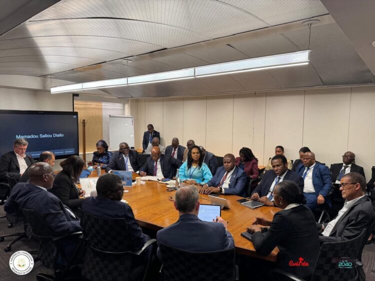 Guinée : le gouvernement présente des projets à la BM et au FMI