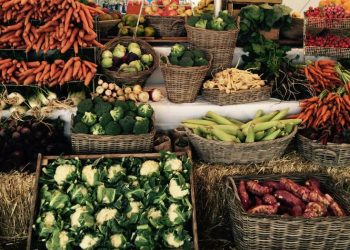 Afrique du Sud : l’inflation sous-jacente a progressé de 3,2 %, en novembre 2025