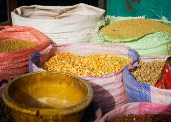 Hausse de l’IPC du Sénégal en novembre 2025