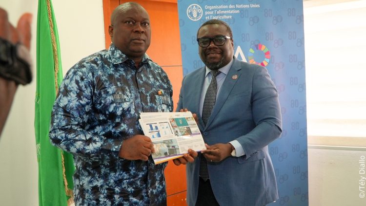 La FAO appuie la Guinée avec un guide stratégique pour valoriser durablement son capital aquatique