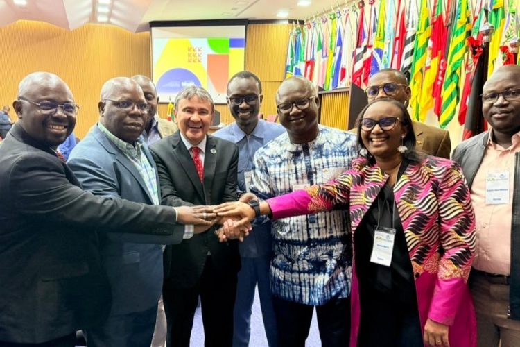 L&rsquo;ANIES sur le terrain de l&rsquo;inclusion sociale au Brésil