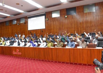 Le CNT adopte la Loi de Plan 2026-2040 du programme « Simandou 2040 »