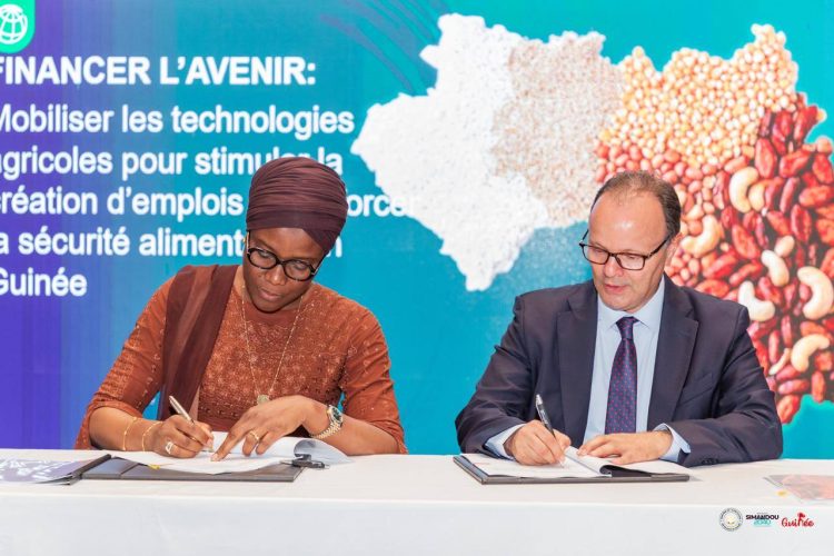 Guinée : le ministère de l’Agriculture s’allie à l’IFC pour accélérer la modernisation du secteur