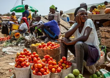 L&rsquo;inflation du Nigéria poursuit sa décrue en février 2026