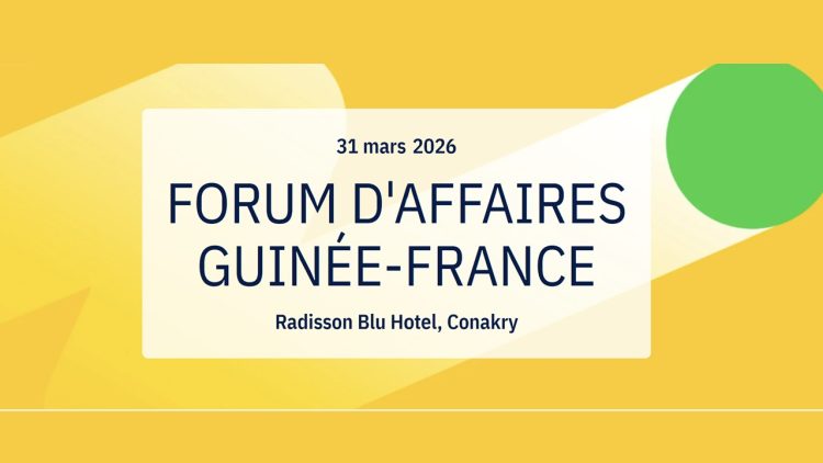 Après le franc succès de Dakar, Bpifrance réunit 50 entreprises françaises à Conakry autour du Plan Simandou 2040