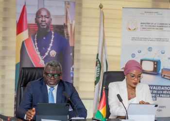 Guinée : validation du PTBA 2026 du programme WARDIP