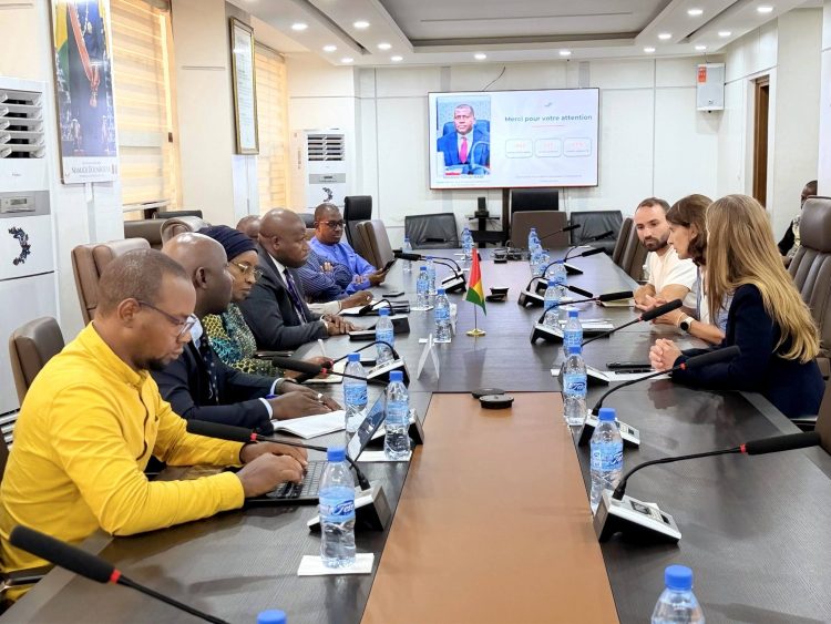 Guinée–Pays-Bas : un partenariat en renforcement autour des projets structurants