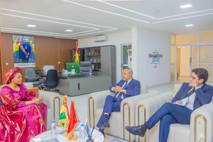 Guinée–Maroc : des discussions pour structurer un partenariat dans le secteur de la santé