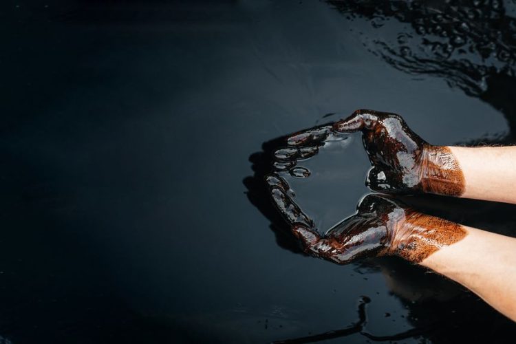 Pétrole : le Brent oscille autour de 113 dollars dans un marché hésitant