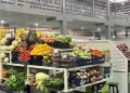 Un programme de 550 millions d’euros pour moderniser les marchés en Guinée