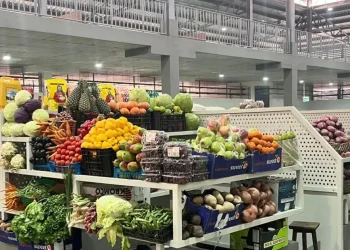 Un programme de 550 millions d’euros pour moderniser les marchés en Guinée