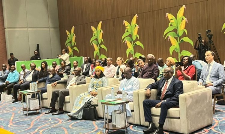 Lancement du Pacte AgriConnect pour dynamiser les chaînes de valeur agricoles