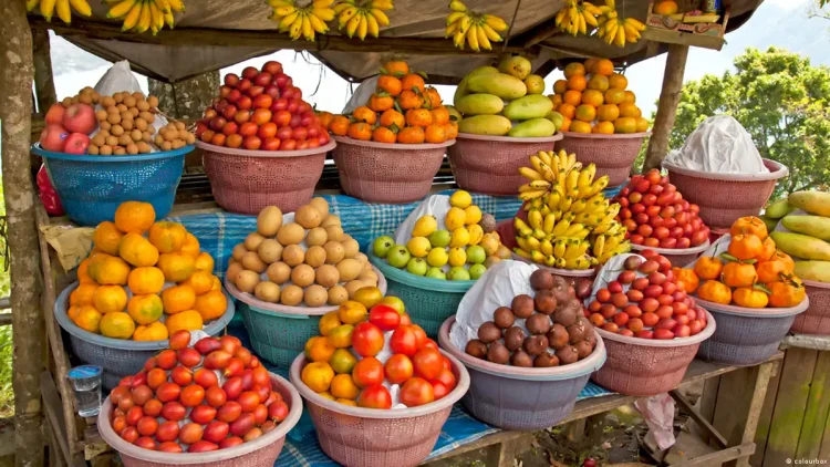 L’inflation en Guinée a atteint 5,9 % en avril