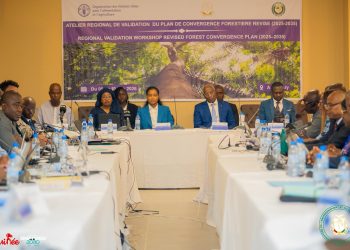 Conakry abrite l’atelier régional de validation du Plan de convergence forestière révisé de la CEDEAO