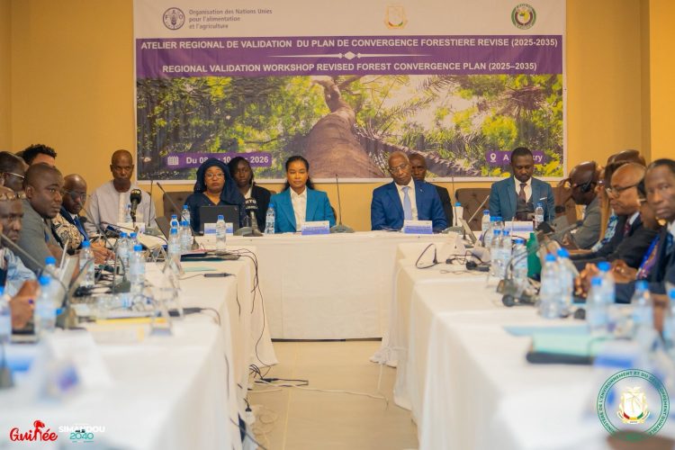 Conakry abrite l’atelier régional de validation du Plan de convergence forestière révisé de la CEDEAO