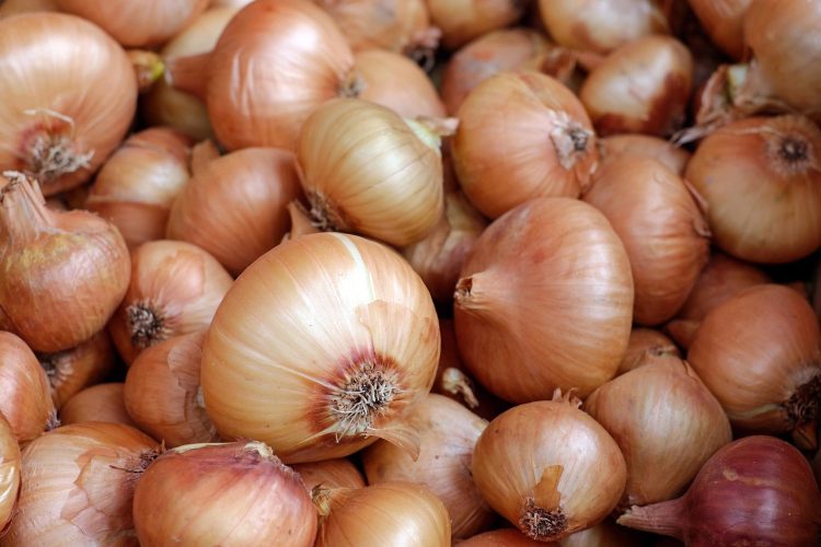 Oignon en Guinée : 36 milliards GNF d&rsquo;importations qui pourraient nourrir l’emploi local