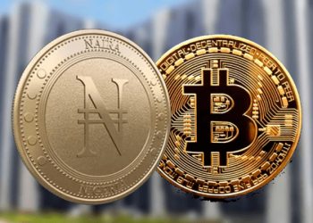 Les stablecoins s’imposent comme une alternative aux transferts bancaires au Nigeria
