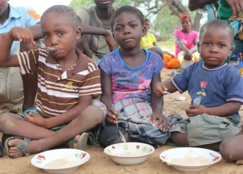 Sécurité alimentaire : l&rsquo;Afrique reste l&rsquo;épicentre de la faim malgré un recul mondial en 2025