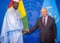 Ce qu’il faut retenir de la séquence de Mamadi Doumbouya à ONU