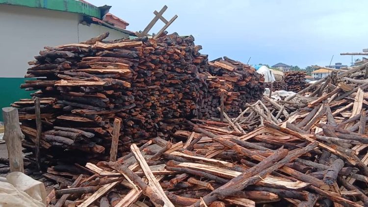 La filière bois reprend ses activités après le repos biologique