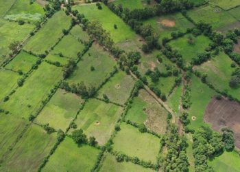 la Guinée et la Serbie discutent d’un partenariat autour des équipements et du financement